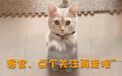 她经常牵着小玥儿的手给对方