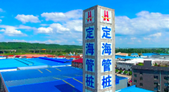<b>本来是有着国资布景的浙江建材入股</b>